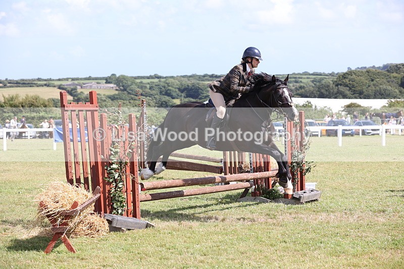 JPP_2225 - Class 19: Working Hunter 60cm