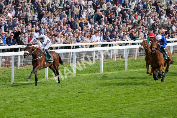 yr13052022r5-18 - Race 5 4.10pm Paddy Power 'Fill Thi Boots' Stakes