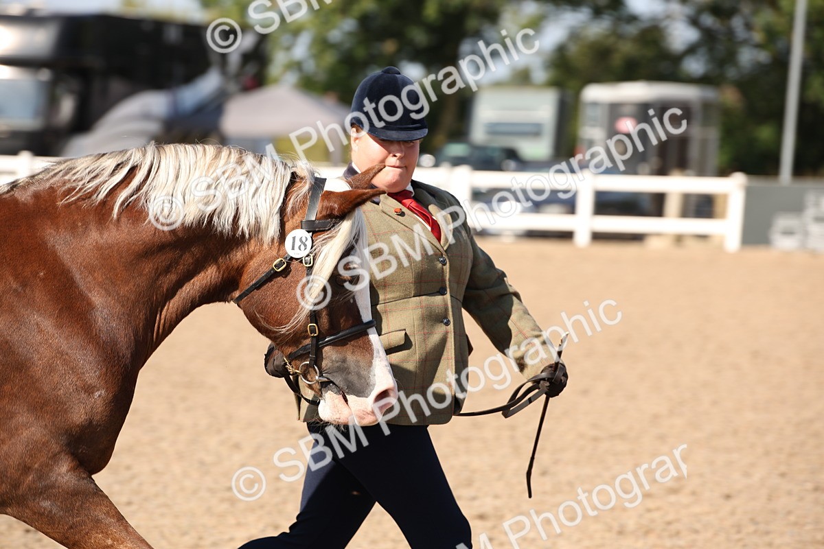 SBM_02776 - Class 16 IH M&M Wildcard