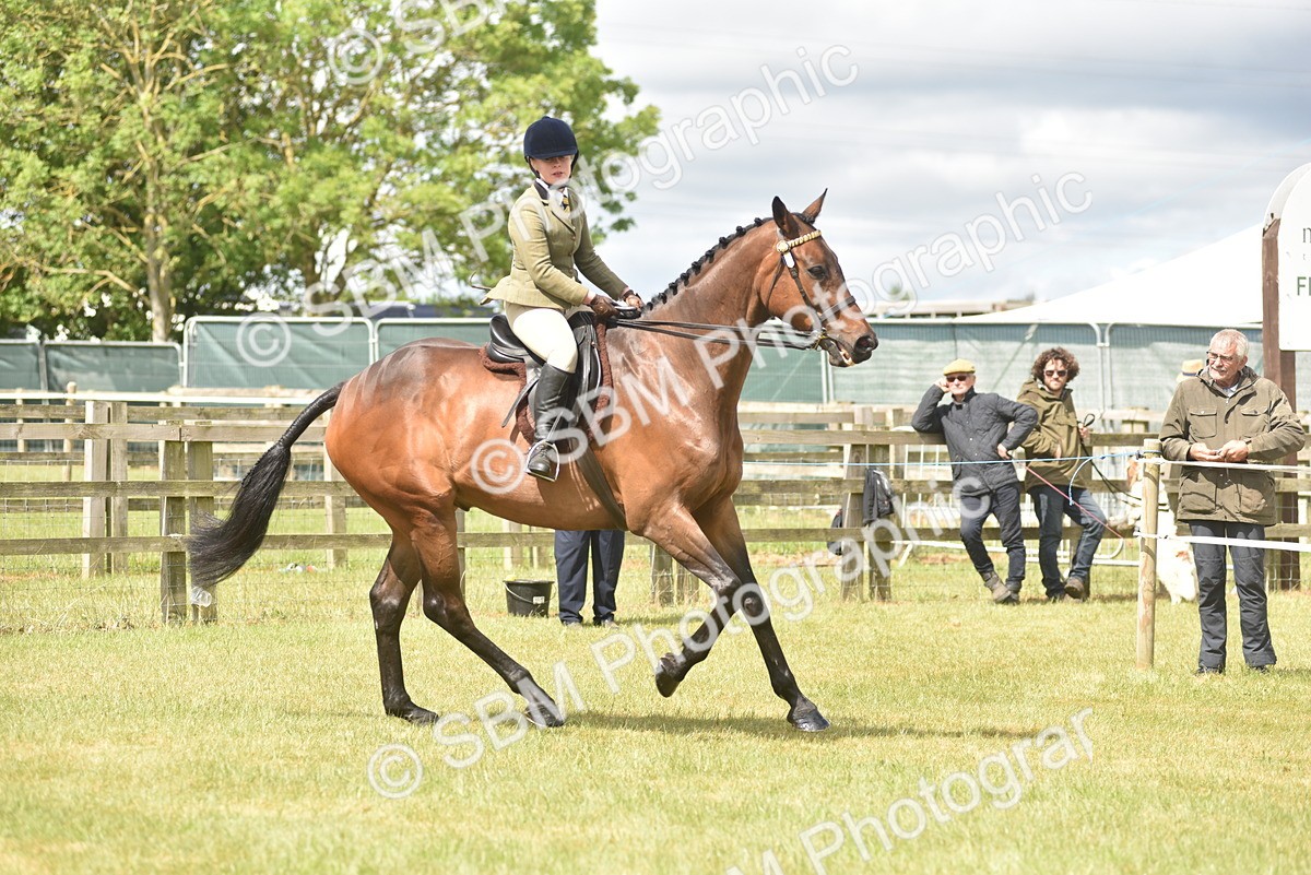 SBM_15089 - Class 113-114 - Retraining of Racehorses Ridden