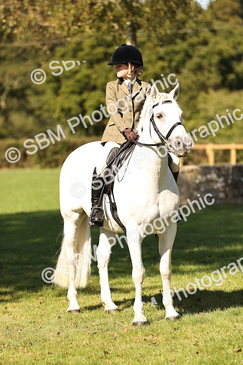 SBM_19177 - S3 - TSR Ridden Pony Showing