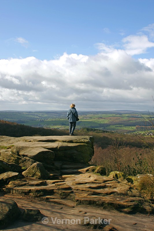 Yorkshire Moors - UK. Landscapes