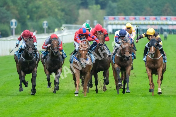 080925-Race 2-Alzahir-7788 - Race 2 3.00pm Sky Bet Super Sub Sprint Handicap