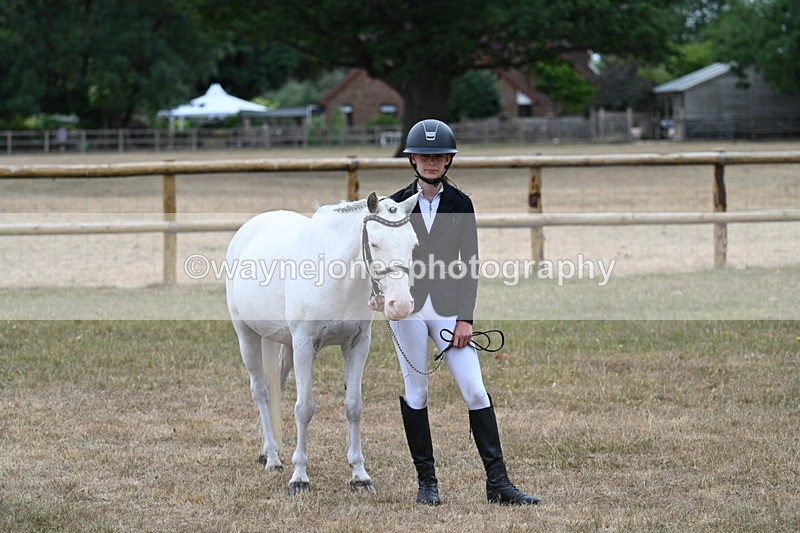 WJ7_8261 - Class 4 Prettiest Mare up to 14.2hh