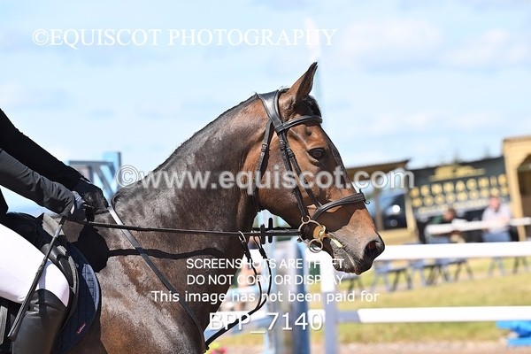 BPP_7140 - CLASS 14 FRI Nupafeeds Senior Dicovery/1m open
