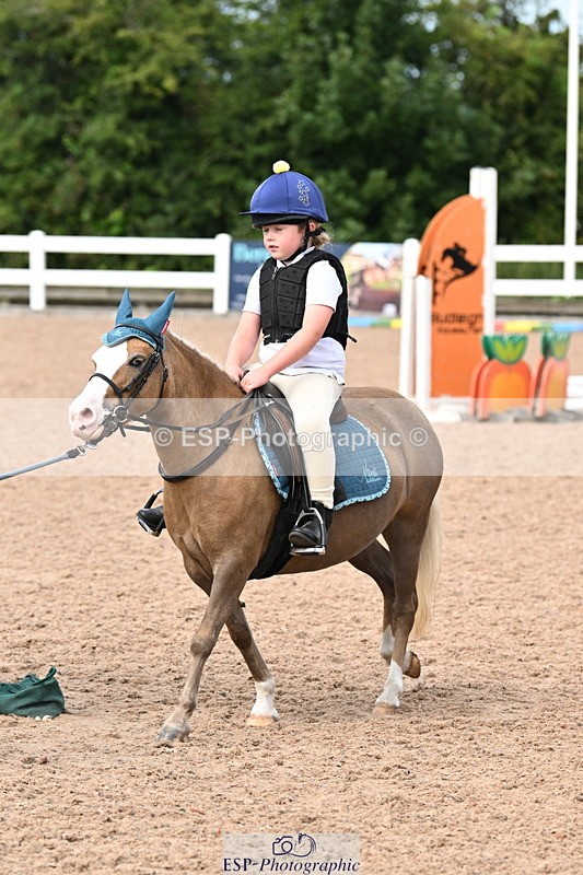 240809A-111103-00088 - Showjumping Competition
