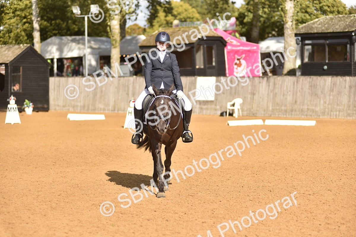 SBM_48901 - D22 - Junior Championship Intro 3