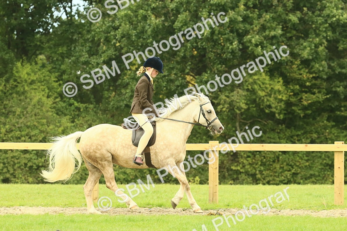 SBM_71908 - S60 - Mountain & Moorland Ridden Large Breeds