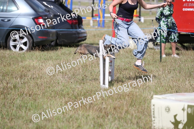 20260906-3416 - Class 34 - Dog Agility