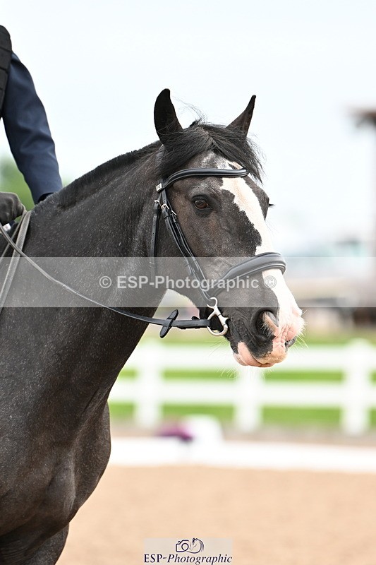 240623A-091655-15984 - Cls 25+26 Quest Intro A