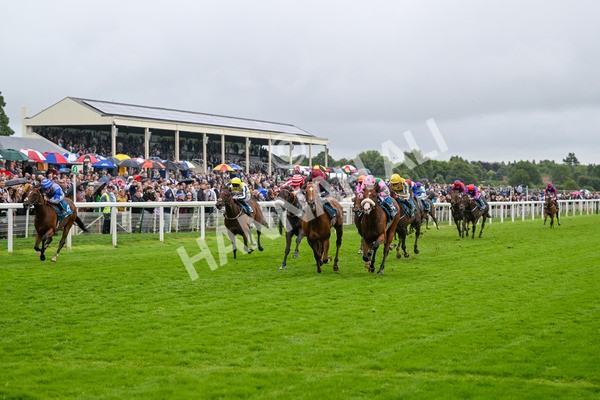 130724-Race 5-East Tyrone-7589 - Race 5 4.15pm John Smith's Nursery Handicap