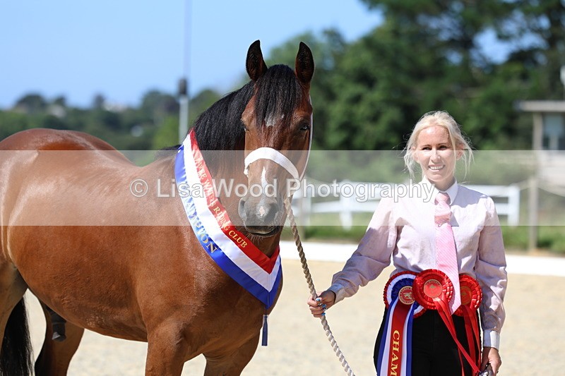 3E7A9954 - In Hand Championship