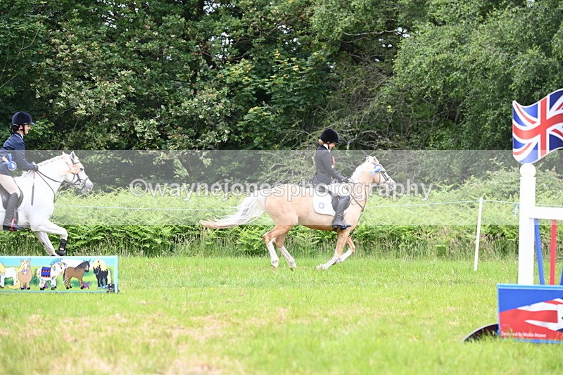 WJ6_5735 - Class 5 pairs 70cm