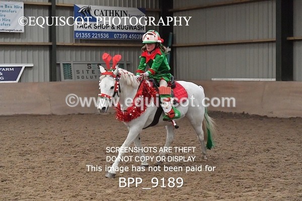BPP_9189 - CLASS 4 50CM Novice Show Jumping