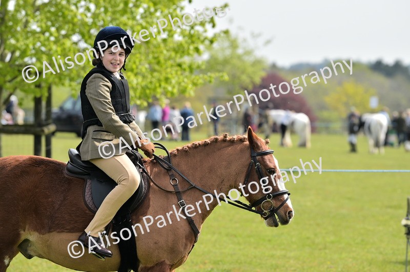 20260426-2299 - Class 20 - Beginner Working Hunter