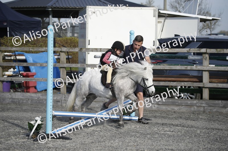 20250412-0151 - Show Jumping