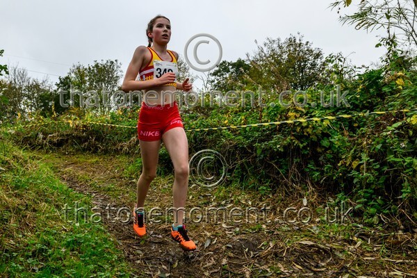 WestRLY25-811897 - Young Female Set Two