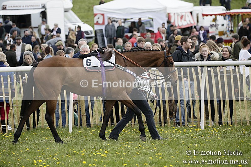 PtP 170417 212 - Old Berks Point-to-Point Lockinge 17/04/17