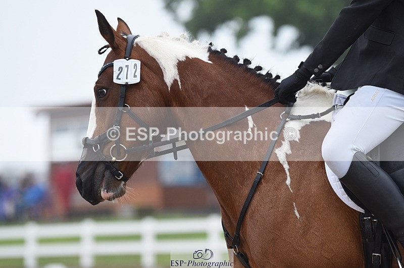 230708A-143912-03095 - Novice 24