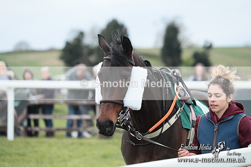 PtP 130425 7 - Edgecote Races 13/04/25