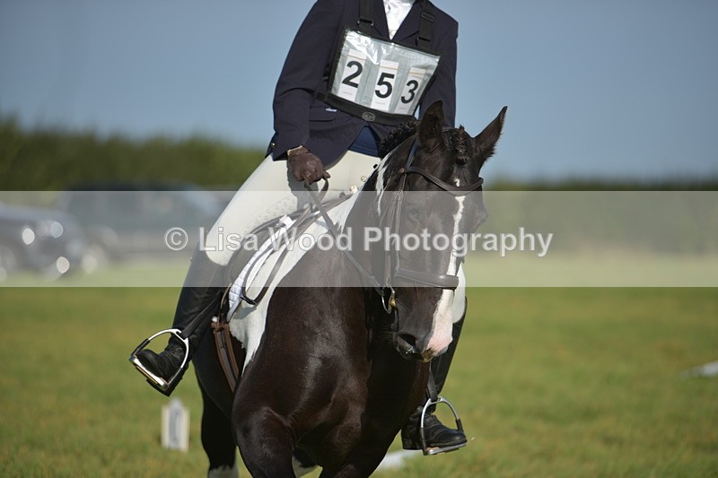 RAY_7310 - Class 2B: Trekenning Open: Dressage