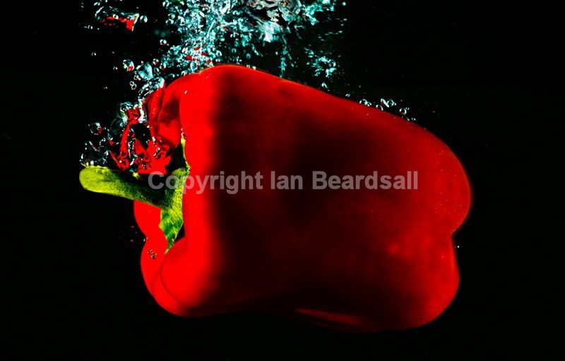 Pepper - Fun Photos