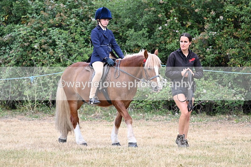 WJ7_0111 - Class 2 Best rider