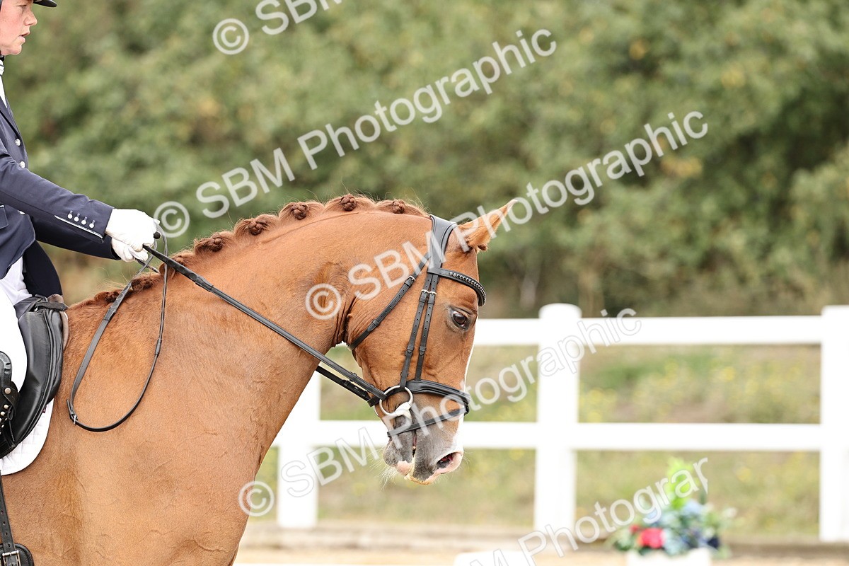 SBM_013109 - Class 3 - Novice 4 - 11.43-12.25
