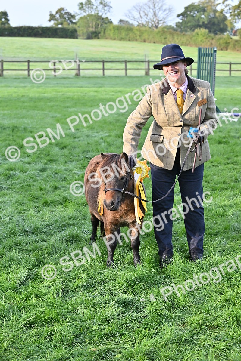 SBM_54634 - S44 - Youngstock In Hand