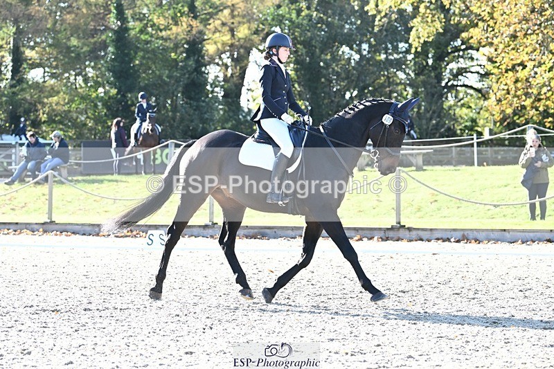 231110-125311-00805 - Cls 3 Novice 22