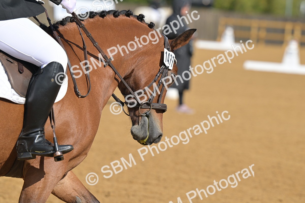 SBM_03678 - D2 - Small Tour Championship Intro 2