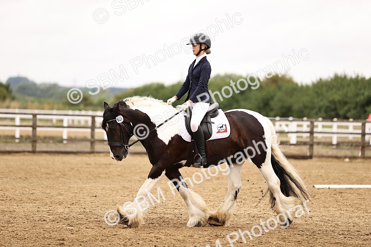 SBM_004040 - Class 7-10 - Novice 2-Elementary 2