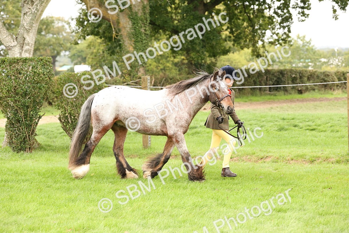 SBM_59229 - S57 - Traditional Cob In Hand