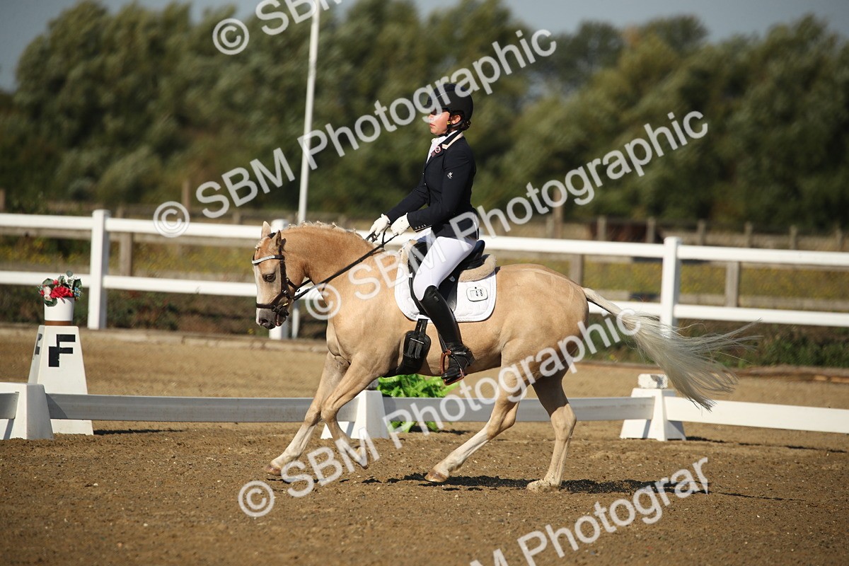 SBM_004462 - Class 11 - Novice 5 - 9.0010.03