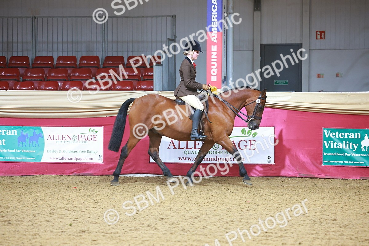 SBM_07602 - Class 101 - HOYS Veteran Qualifier - Ridden Diamond