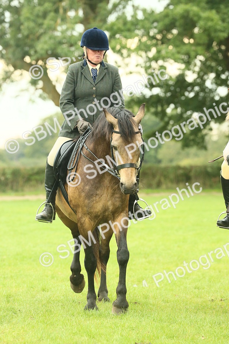 SBM_72184 - S60 - Mountain & Moorland Ridden Large Breeds