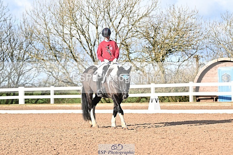 241214-112813-01412 - 130-Alys.Matravers-Tiger.Mazariti