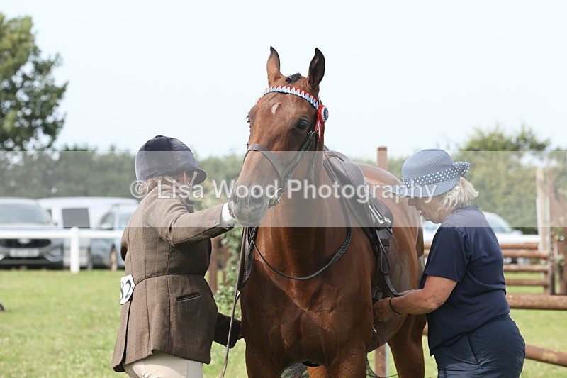 JPP_4321 - Class 25: Working Show Horse