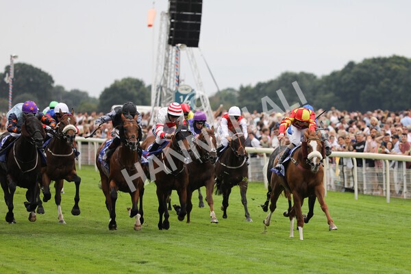 yr23072022r2-22 - Race 2 2.40pm Sky Bet Dash
