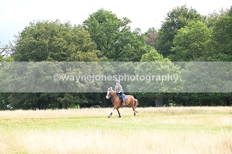 DSC_4540 - Time at Statue 09:50 to 11:09