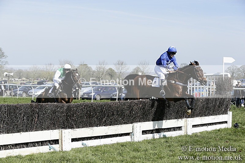 PtP 260317 97 - Mendip Farmers Point-to-Point Ston Easton 26/03/17