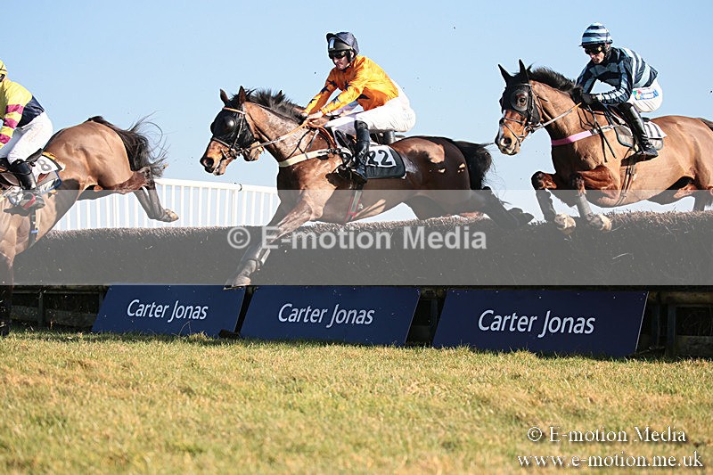 PtP 230219 421 - Vine & Craven Point-To-Point - Barbury 23/02/19