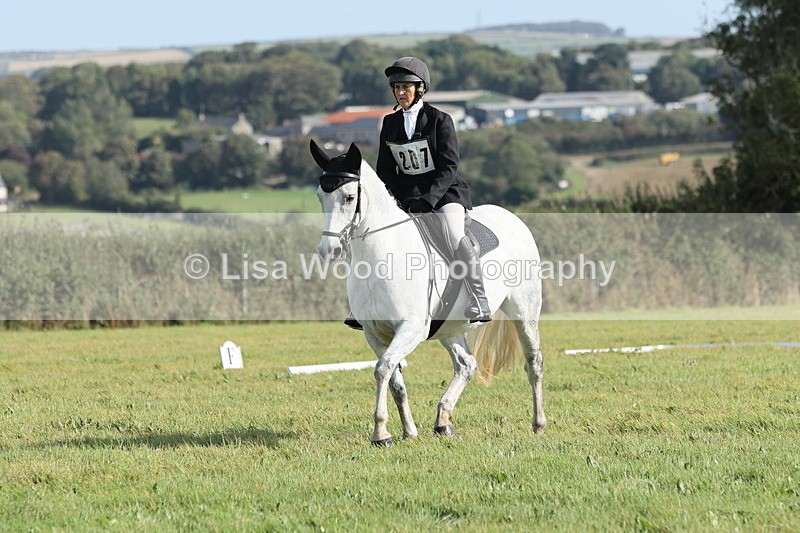 JPP_8063 - Class 2A: Trekenning Open: Dressage