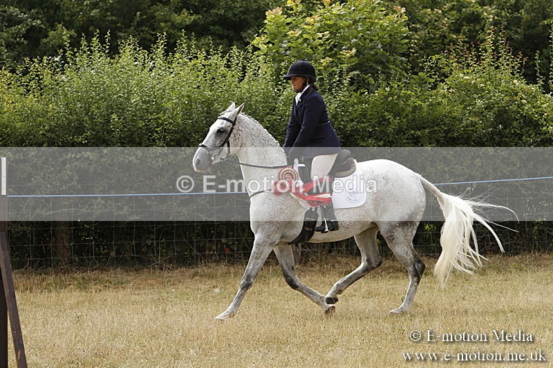 _BS_1037 - Working Hunter Championship BVRC Show 2018