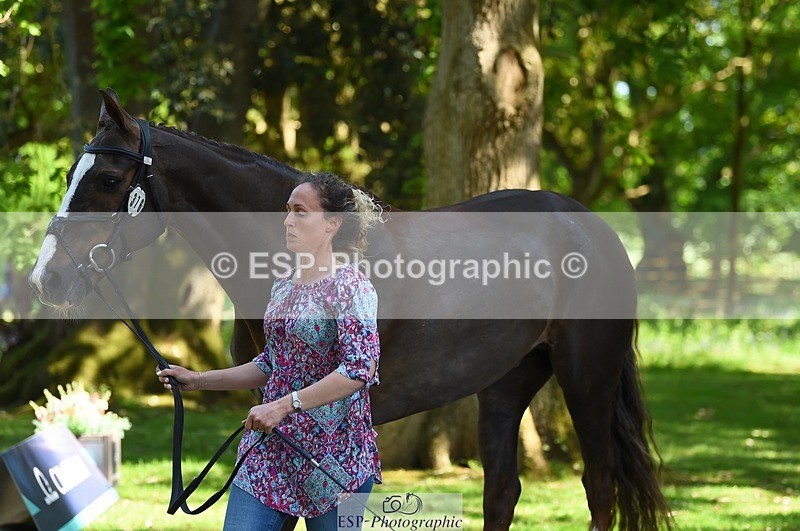 230524-154344-00462 - 376-DIRECT_BALLYTARSNA_DUCAREL-Jodie_Amos-WEDTrotUp+DR