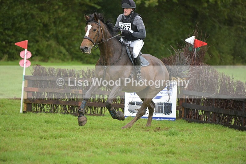 RAY_0521 - Class 4: 80cm: Double of Brushes