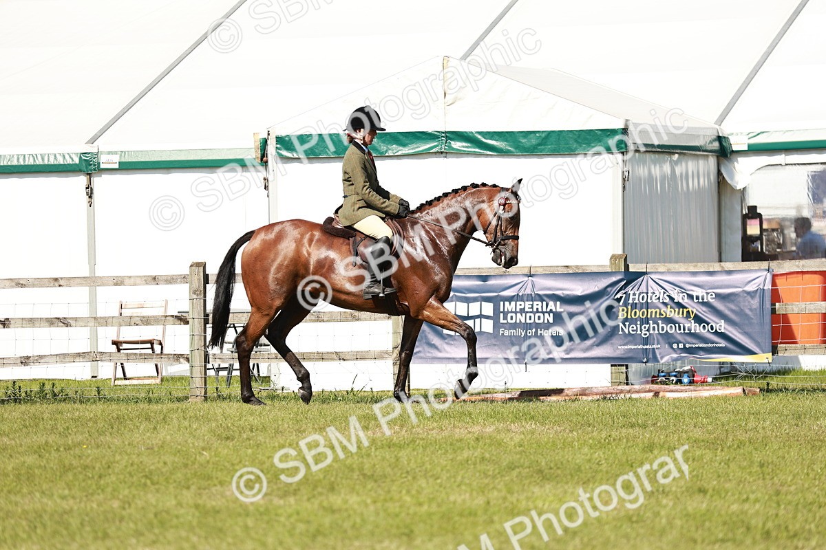 SBM_18871 - Class 114 - RIHS & SEIB Open Working Show Horse