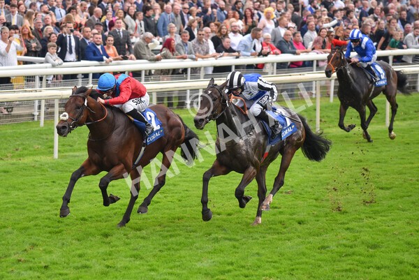 yr09102021r3-22 - Race 3 2.37pm Play Coral Racing-Super-Series For Free Handicap