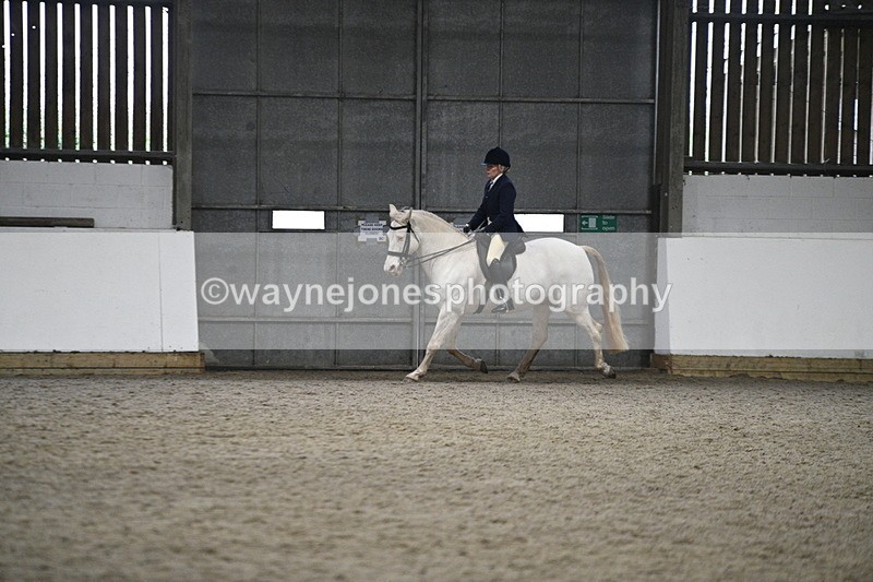 WJ7_3617 - Class 16 Ridden Coloured/ Odd Coloured