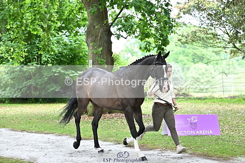 250521A-144729-00239 - A-060-Sophie.Wildern-CARTOON.HERO